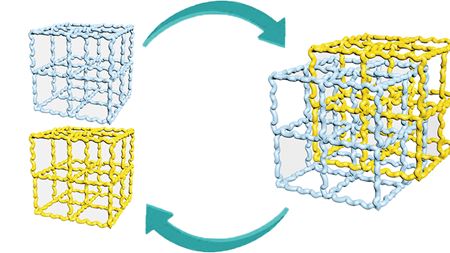 Reversible fusion and defusion of immiscible polymers starting from crosslinked networks