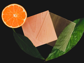 A piece of the transparent wood and a slice of orange, which can help make the wood more sustainable. Photo: Céline Montanari.