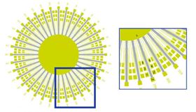 Scientists patterned thin films of strontium ruthenate into the 'sunbeam' configuration seen in the image. They arranged a total of 36 lines radially in 10° increments to cover the entire range from 0° to 360°. On each bar, electrical current flows from I+ to I-. They measured the voltages vertically along the lines (between gold contacts 1-3, 2-4, 3-5 and 4-6) and horizontally across them (1-2, 3-4, 5-6). Their measurements revealed that electrons in strontium ruthenate flow in a preferred direction unexpected from the crystal lattice structure. Image: Brookhaven National Laboratory.