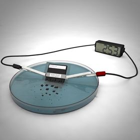 ISU scientists have developed a working battery that dissolves and disperses in water. Image: Ashley Christopherson.