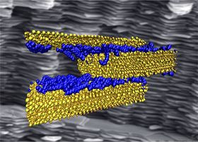 Rice University researchers who probed the interfacial interactions of polymer (blue) and cement (yellow) discovered that the right mix of hydrogen bonds is critical for making strong, tough and ductile composite materials for infrastructure. Using computer simulations like that shown in the illustration, the researchers were able to measure the strength of the bonds as hard cement slides past the soft polymer in a layered composite that mimics the structure of nacre, seen in the background. Image: Probhas Hundi/Multiscale Materials Laboratory.
