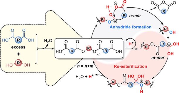 Catalyst-free synthesis of polyesters via conventional melt polycondensation