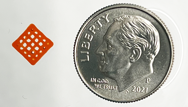 Structures printed using the peptide-based 3D-printing ink (a dime is included for scale)
