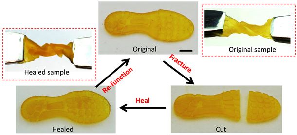 Self-healing of a 3D-printed shoe pad: the shoe pad can sustain a 540-degree twist. Once cut, the shoe pad is brought into contact to heal for two hours at 60 °C. The healed shoe pad can then sustain the 540-degree twist again (scale bar represents 4 mm).